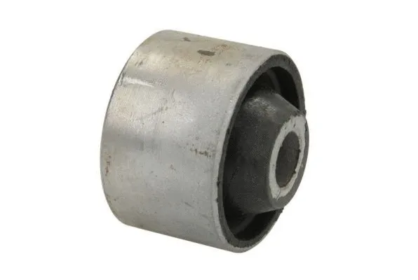 Control/Trailing Arm, wheel suspension (A6G001MT)