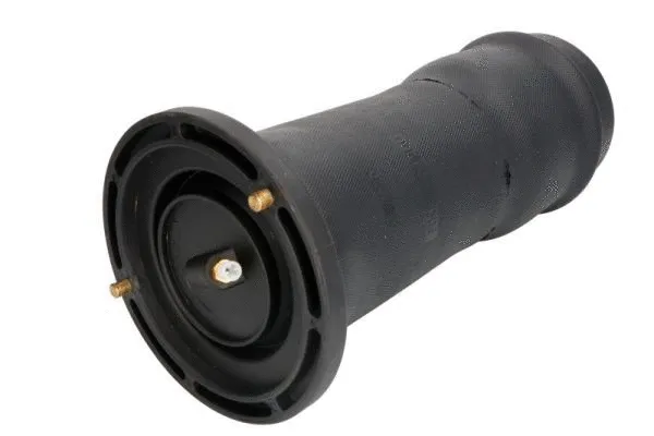 Air Suspension Strut (MZL001MT)