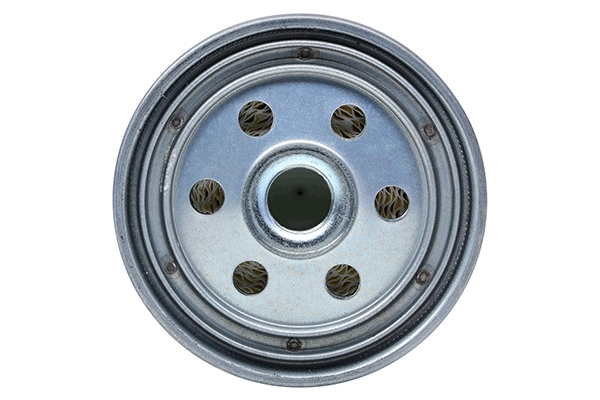 Fuel Filter (28.0002-4071.2)