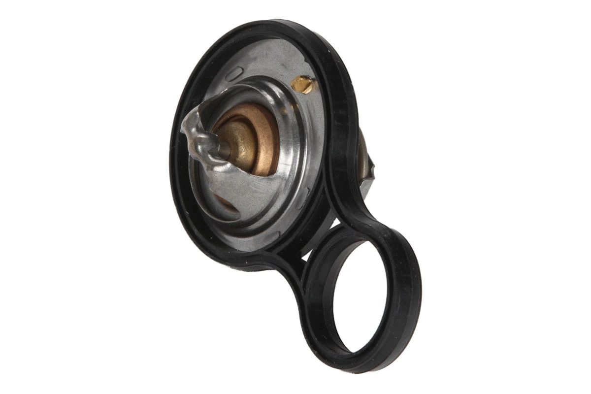 Thermostat, coolant (28.0200-4163.2)