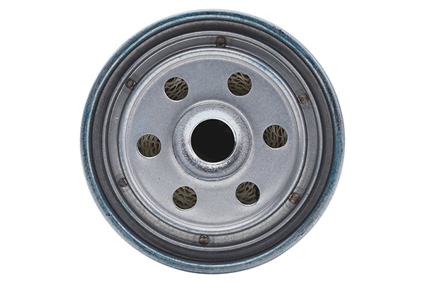 Fuel Filter (28.0002-4176.2)