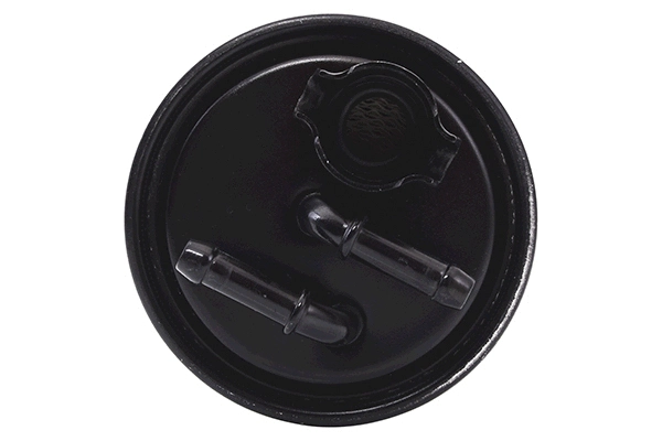 Fuel Filter (28.0002-4154.2)