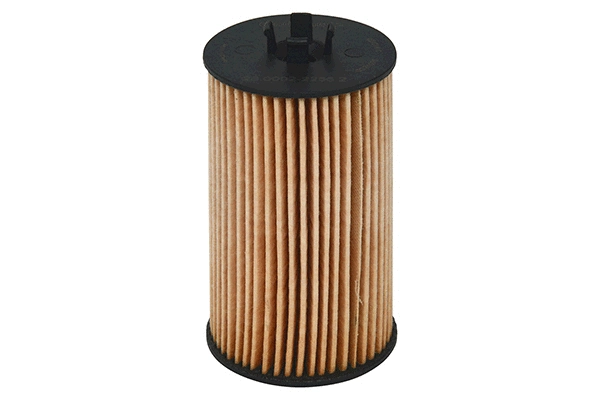 Oil Filter (28.0002-2256.2)