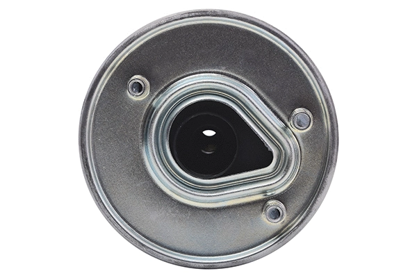 Fuel Filter (28.0002-4239.2)