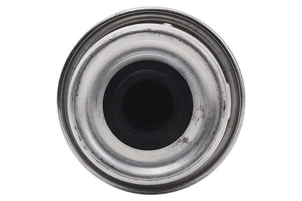 Fuel Filter (28.0002-4209.2)