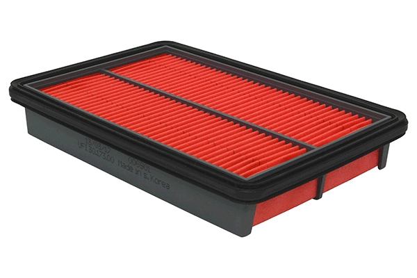 Air Filter (28.0002-0385.2)