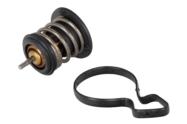 Thermostat, coolant (28.0200-4058.2)