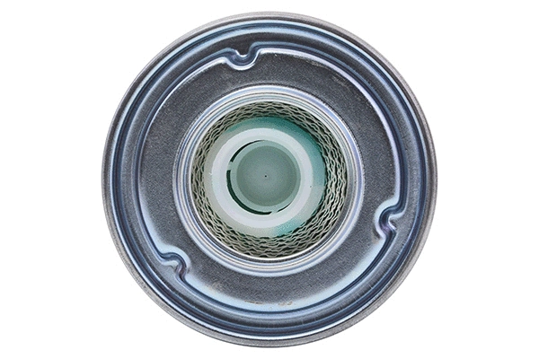 Fuel Filter (28.0002-4062.2)