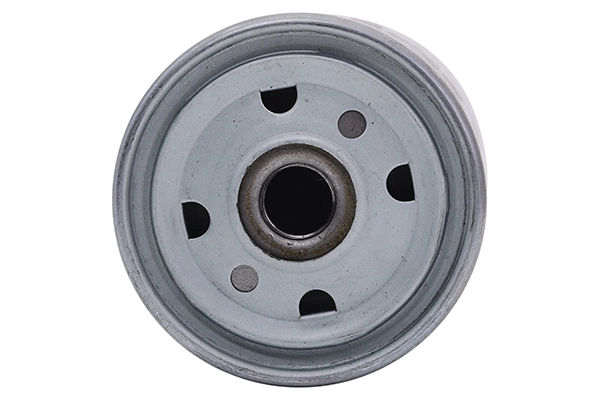 Fuel Filter (28.0002-4019.2)