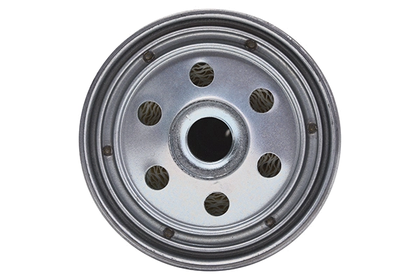 Fuel Filter (28.0002-4191.2)