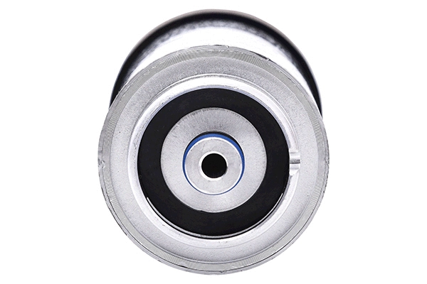 Fuel Filter (28.0002-4047.2)