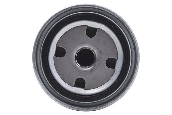 Fuel Filter (28.0002-4136.2)