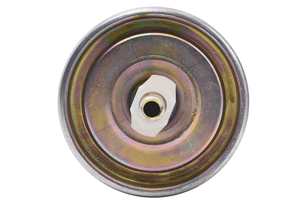 Fuel Filter (28.0002-3009.2)