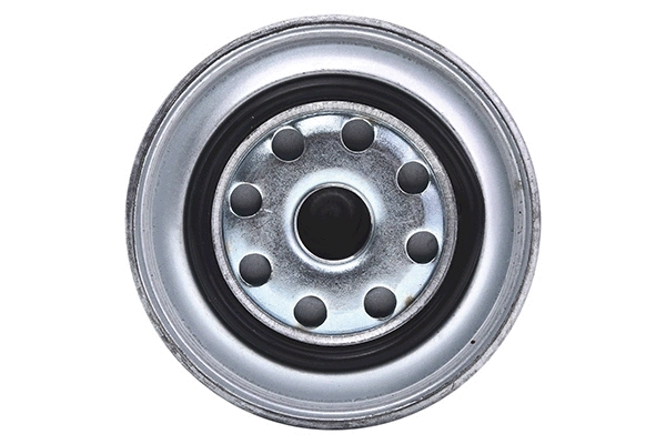 Fuel Filter (28.0002-4197.2)