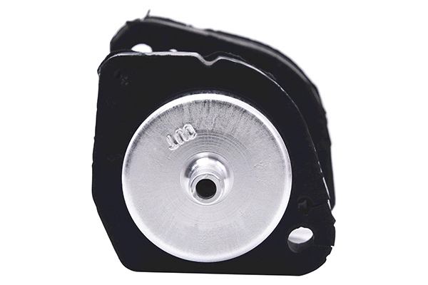 Fuel Filter (28.0002-4054.2)