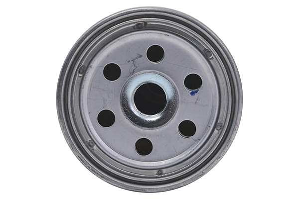 Fuel Filter (28.0002-4182.2)