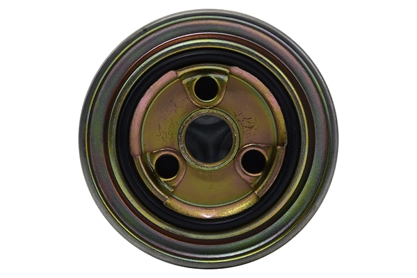 Fuel Filter (28.0002-4098.2)