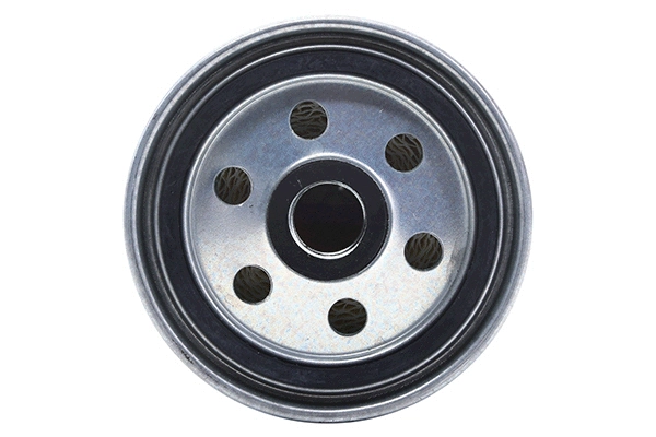 Fuel Filter (28.0002-4173.2)