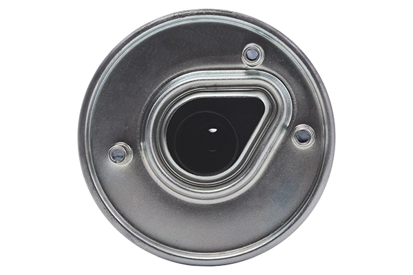 Fuel Filter (28.0002-4238.2)