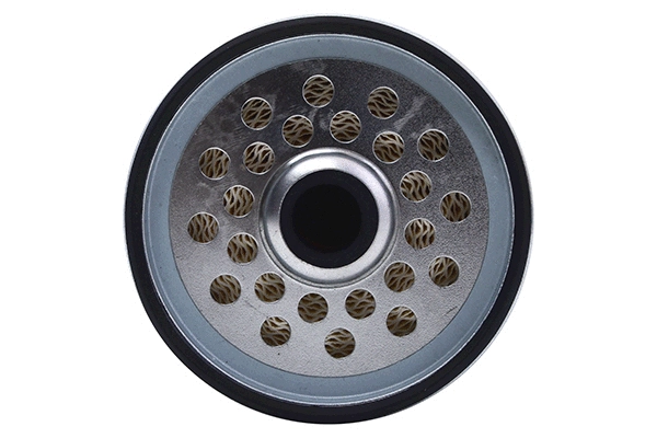 Fuel Filter (28.0002-4097.2)
