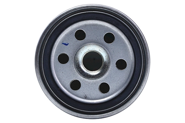 Fuel Filter (28.0002-4170.2)