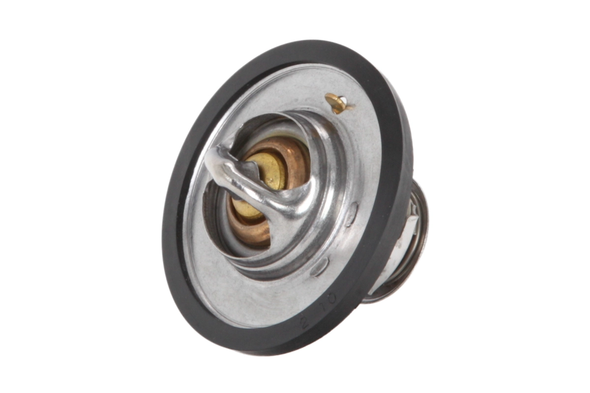 Thermostat, coolant (28.0200-4255.2)