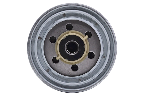 Fuel Filter (28.0002-4004.2)
