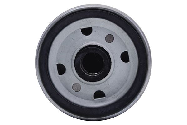 Fuel Filter (28.0002-4175.2)