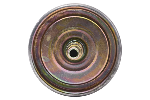 Fuel Filter (28.0002-3021.2)