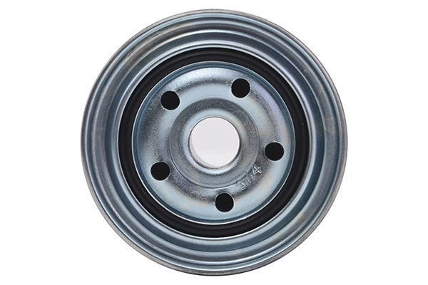 Fuel Filter (28.0002-4258.2)