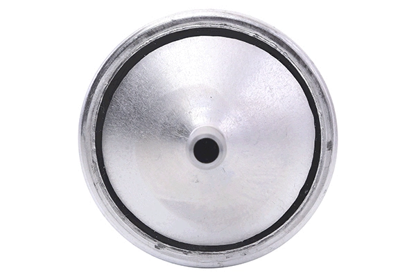 Fuel Filter (28.0002-3046.2)