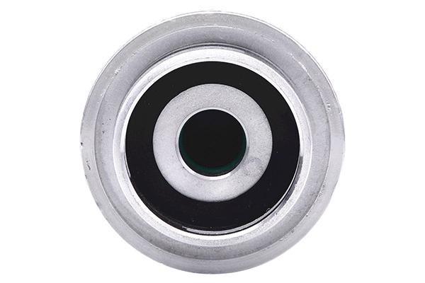 Fuel Filter (28.0002-4065.2)