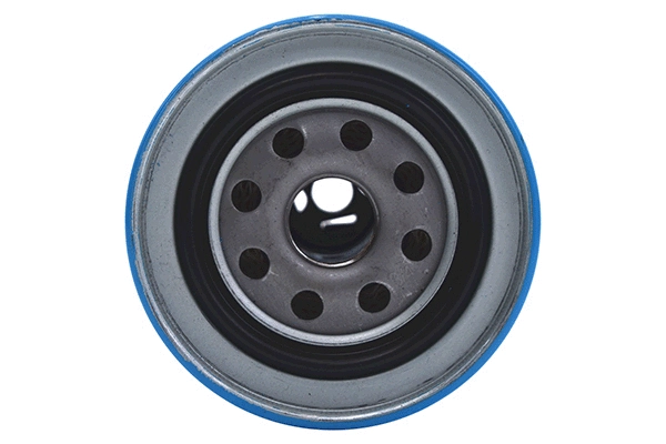 Fuel Filter (28.0002-4168.2)