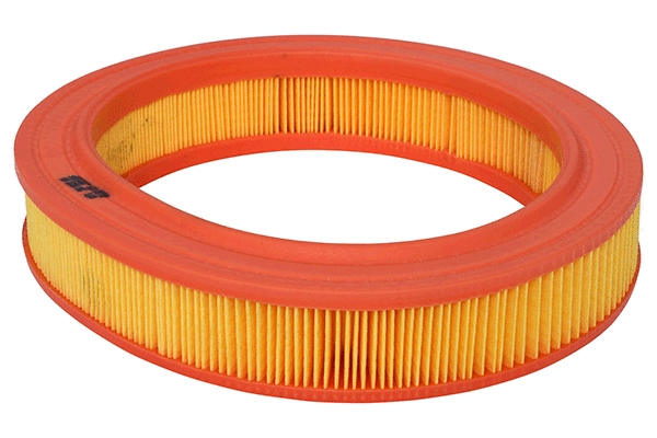 Air Filter (28.0002-0335.2)