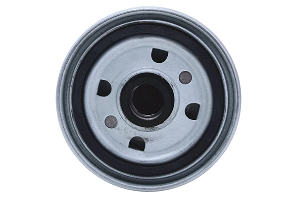 Fuel Filter (28.0002-4178.2)