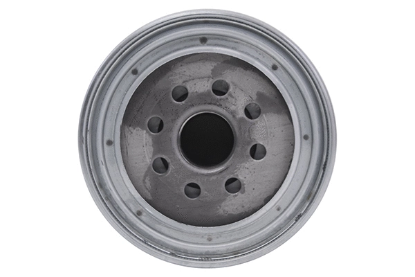 Fuel Filter (28.0002-4143.2)