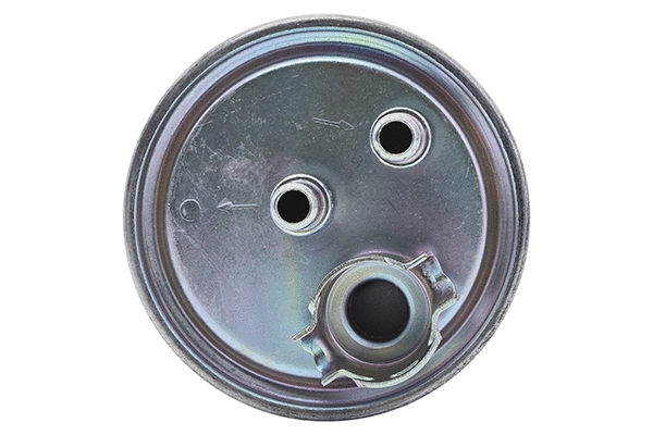 Fuel Filter (28.0002-4101.2)
