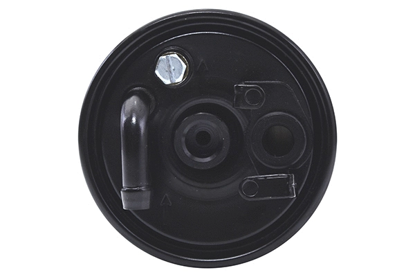 Fuel Filter (28.0002-4199.2)