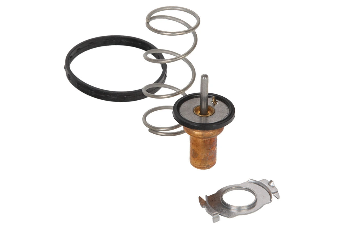 Thermostat, coolant (28.0200-4145.2)