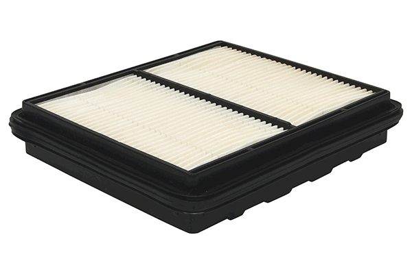 Air Filter (28.0002-0493.2)