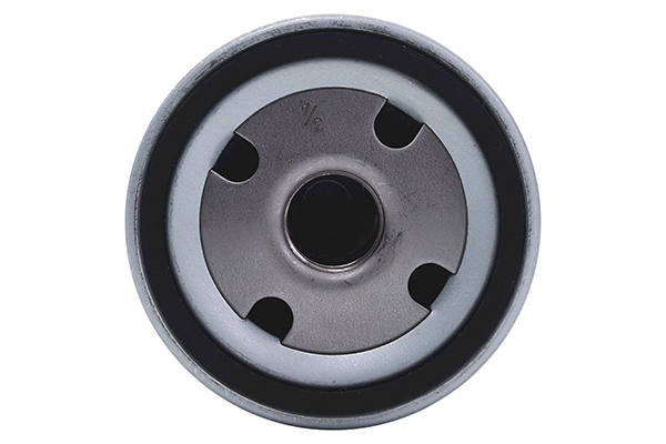 Oil Filter (28.0002-2136.2)