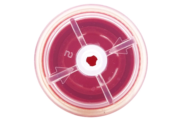 Fuel Filter (28.0002-3008.2)