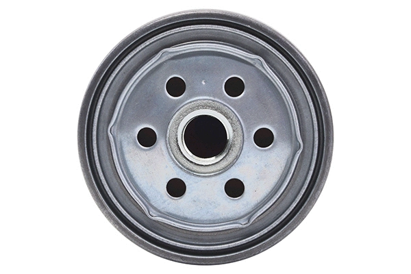 Fuel Filter (28.0002-4112.2)
