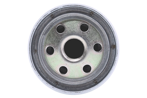 Fuel Filter (28.0002-4096.2)