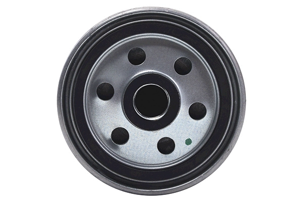 Fuel Filter (28.0002-4179.2)