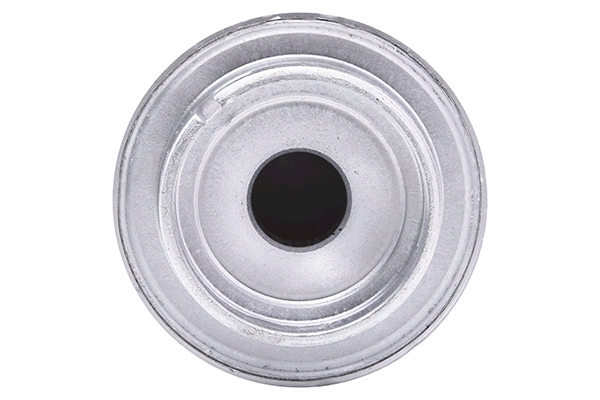Fuel Filter (28.0002-4208.2)