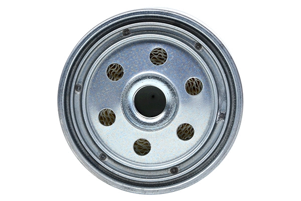 Fuel Filter (28.0002-4030.2)