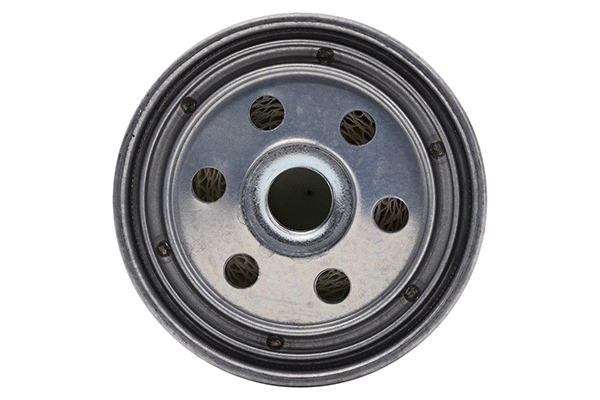 Fuel Filter (28.0002-4118.2)