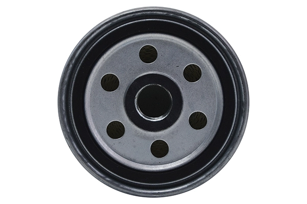 Fuel Filter (28.0002-4043.2)