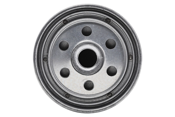 Fuel Filter (28.0002-4185.2)